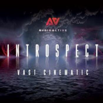 Introspect - Vast Cinematic