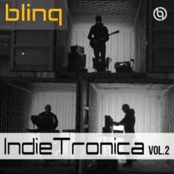 blinq 039 Indietronica vol.2