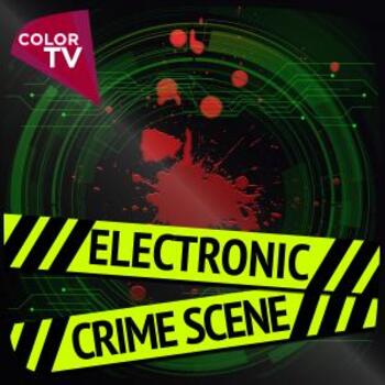 Electronic Crime Scene