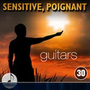 Sensitive Poignant 30 Guitars