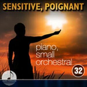 Sensitive Poignant 32 Piano, Small Orchestral
