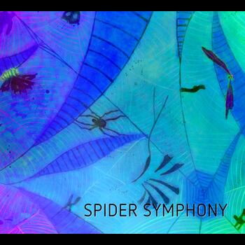  Spider Symphony