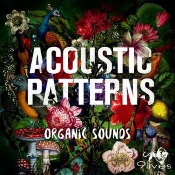 Acoustic Patterns