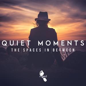 Quiet Moments - The Spaces In Between