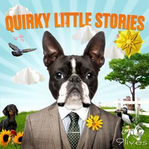 Quirky Little Stories