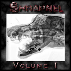 Heavy Metal Shrapnel Volume 1