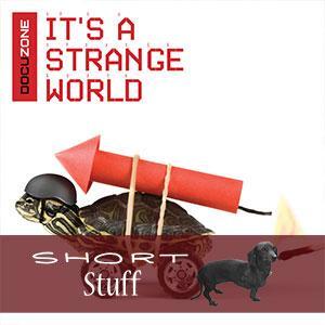 ZONE 025(SS) It's A Strange World Short Stuff