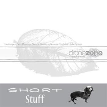 ZONE 003(SS) Natural World Short Stuff