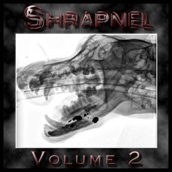 Heavy Metal Shrapnel Volume 2