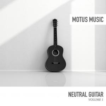 Neutral Guitar