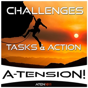 Challenges Tasks & Action