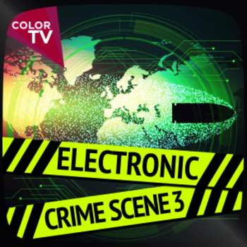 Electronic Crime Scene 3