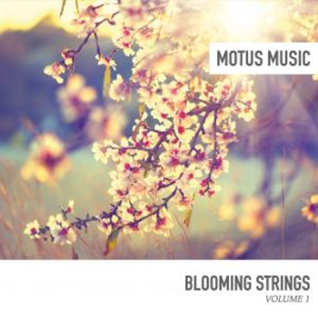 Blooming Strings