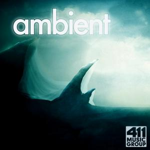 Ambient Vol 1