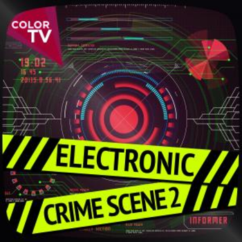 Electronic Crime Scene 2