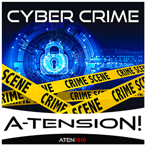 Cyber Crime