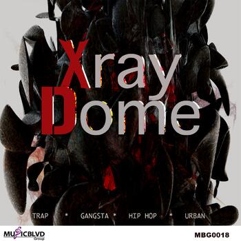 XRAY DOME