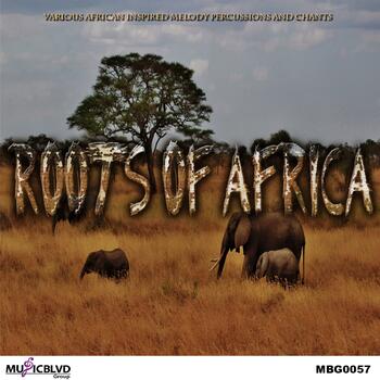 Roots Of Africa