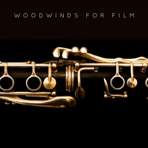Woodwinds For Film