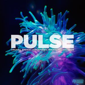 TJ0097 Pulse