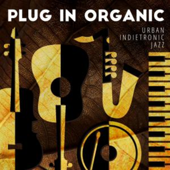 Plug In Organic