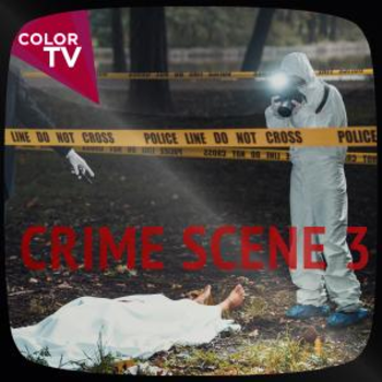 Crime Scene 3