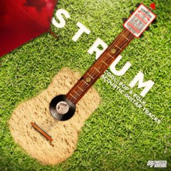 TJ0108 Strum