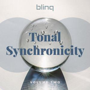 blinq 066 Tonal Synchronicity vol.2