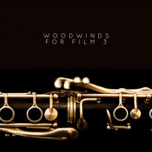 Woodwinds For Film 3