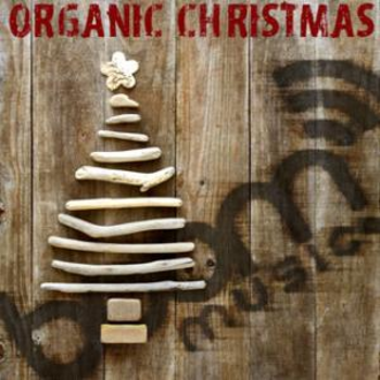 Organic Christmas
