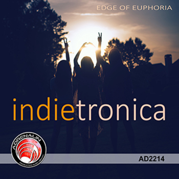 Indietronica