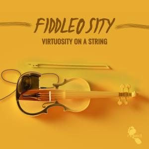 Fiddlosity - Viruosity On A String