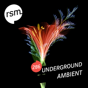 RSM286 Underground Ambient
