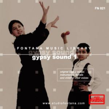 Gypsy Sound Vol. 1