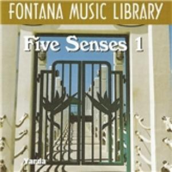 Five Senses Vol. 1