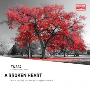 A Broken Heart