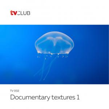 Documentary Textures 1