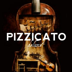 Pizzicato Deluxe 2