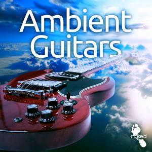 Ambient Guitars