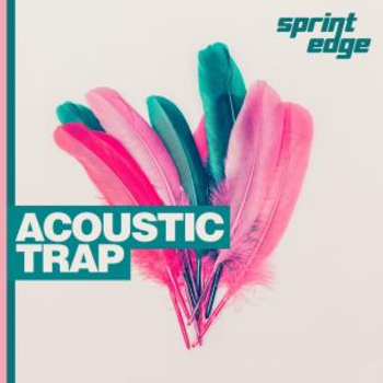 Acoustic Trap