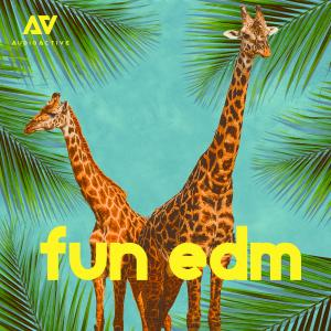 Fun EDM