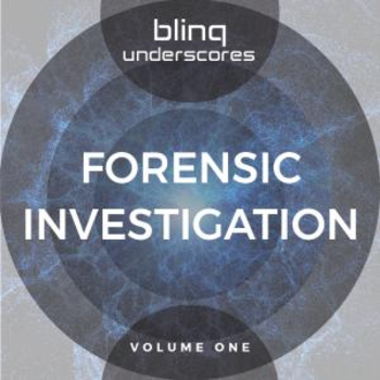 blinq 077 Forensic Investigation