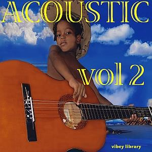 VIBEY 49 Acoustic 2