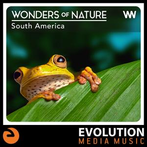 Wonders Of Nature: South America