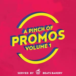 A Pinch Of Promos Volume 1
