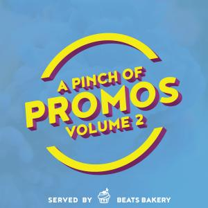 A Pinch Of Promos Volume 2