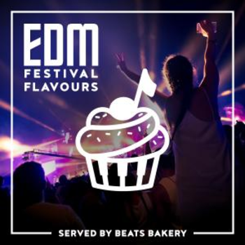 EDM Festival Flavours