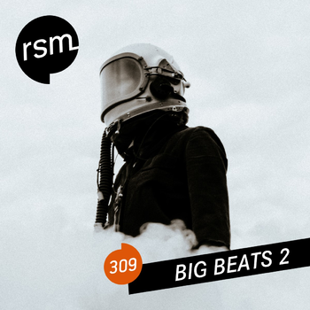 RSM309 Big Beats 2