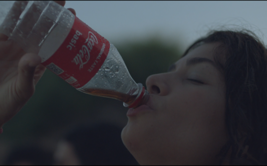 Coca Cola - Zero Waste Beaches