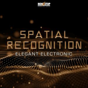 Spatial Recognition